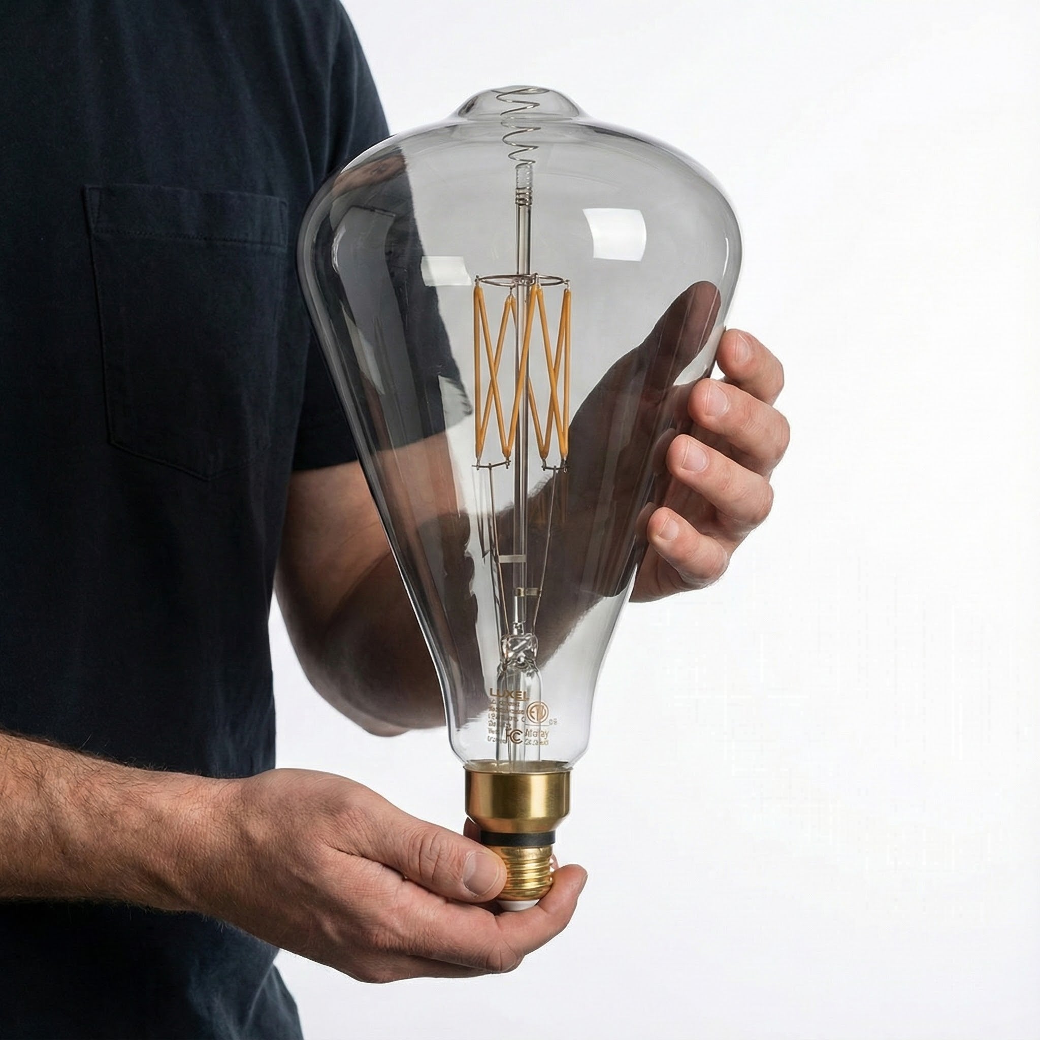Person holding a large clear light bulb with visible filaments against a white background