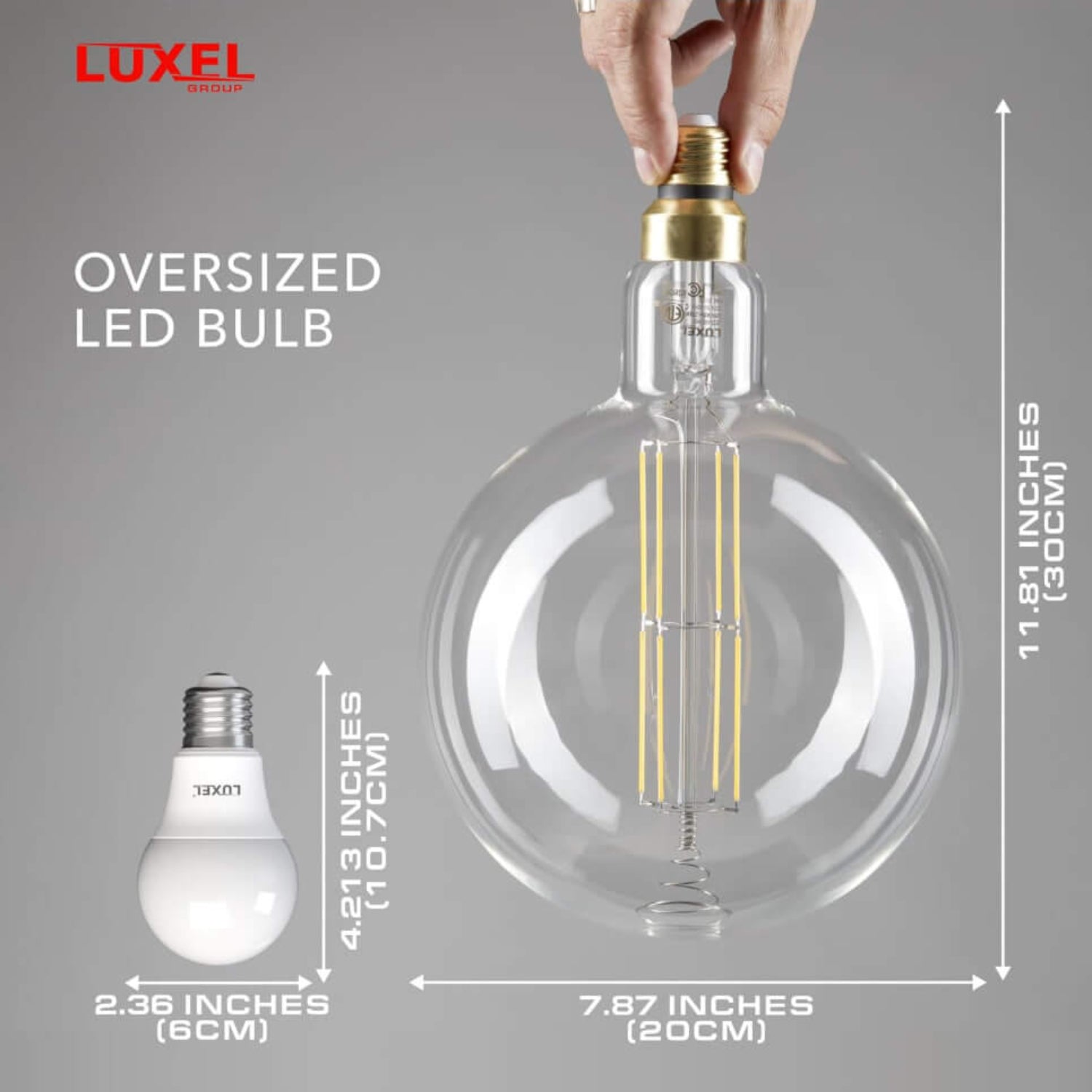Luxel oversized clear LED bulb held by hand next to a standard bulb with full size comparison in inches and centimeters